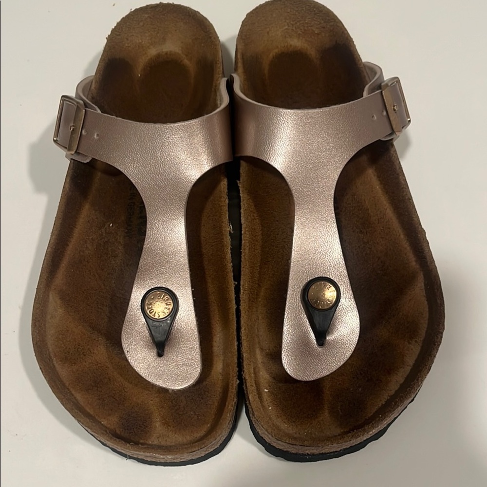 Birkenstock Silver and Brown Sandals with Contoured Footbed